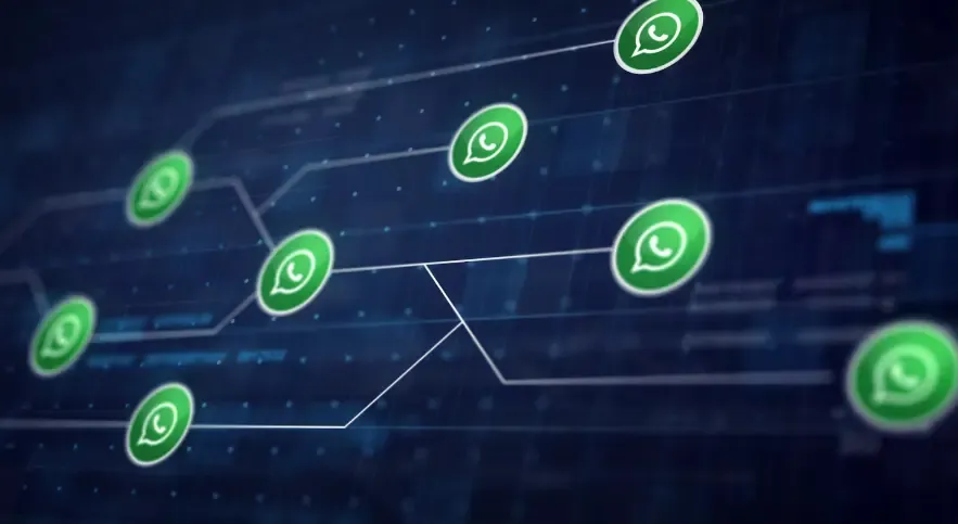 TalkVit vs Others: An Ultimate Comparison of WhatsApp CRM